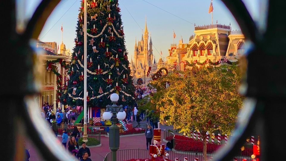 Árvore de natal no Magic Kingdom