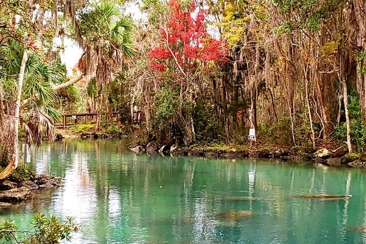 Springs na Flórida