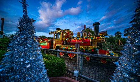 Árvore de natal e trem no Busch gardens