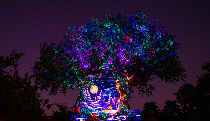 Projeção de natal na árvore da vida no Animal Kingdom