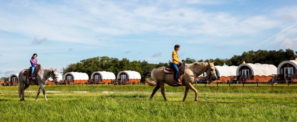 Cavalos em Westgate River Ranch