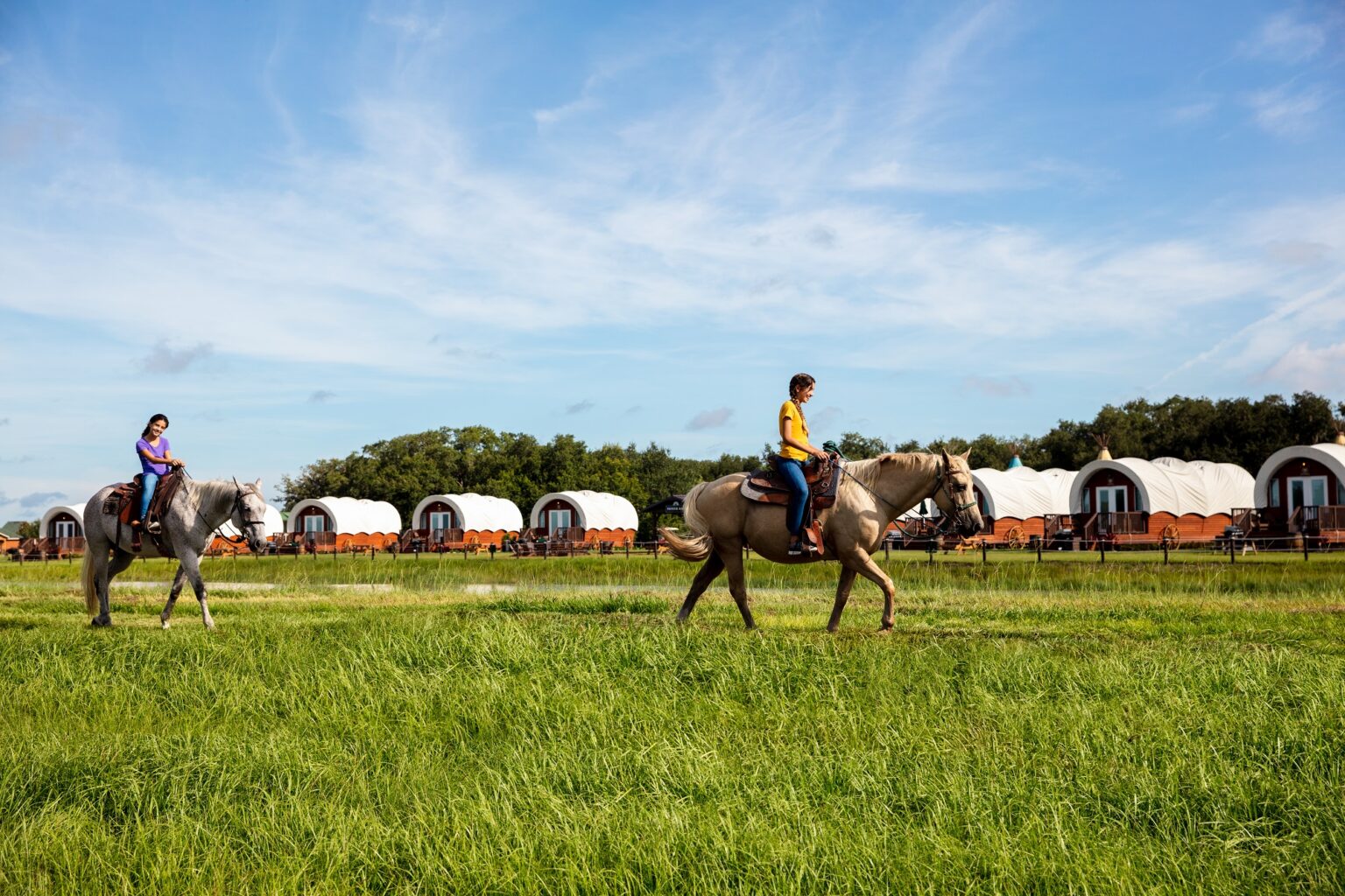 Cavalos em Westgate River Ranch