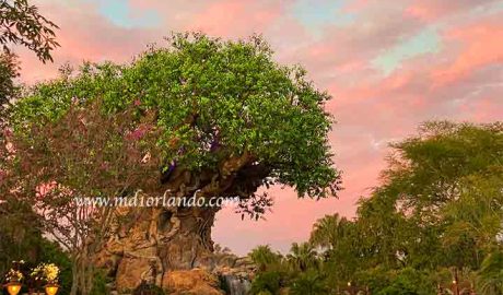 Símbolo do parque Animal Kingdom, a árvore da vida