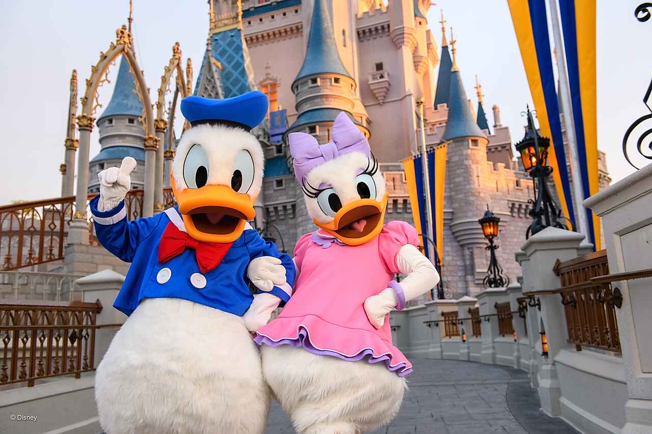 Donald e margaria em frente ao castelo Magic Kingdom