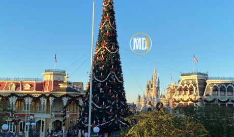 Árvore de natal no magic Kingdom