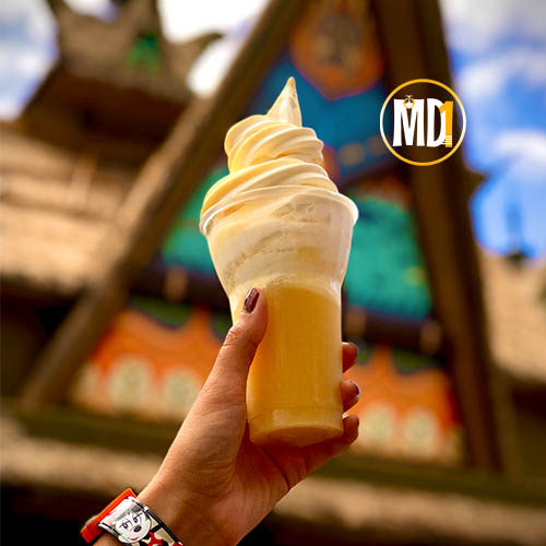 DOLE-WHIP-no-magic-kingdom