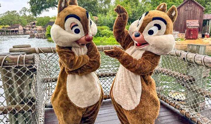 new-location-chip-and-dale-magic-kingdom