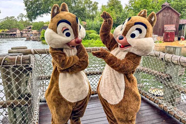 new-location-chip-and-dale-magic-kingdom