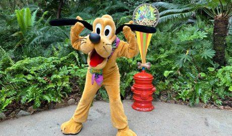 pluto-animal-kingdom