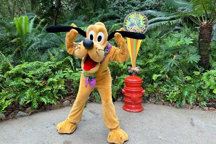 pluto-animal-kingdom