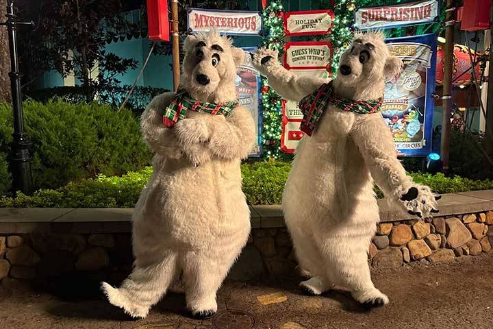 polar-bear-magic-kingdom
