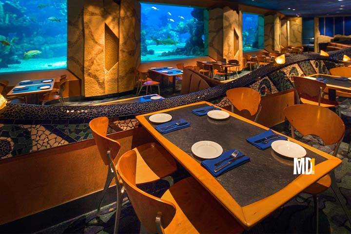 coral-reef-walt-disney-world