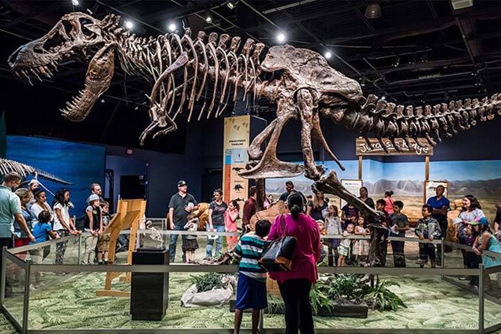 orlando-science-museum